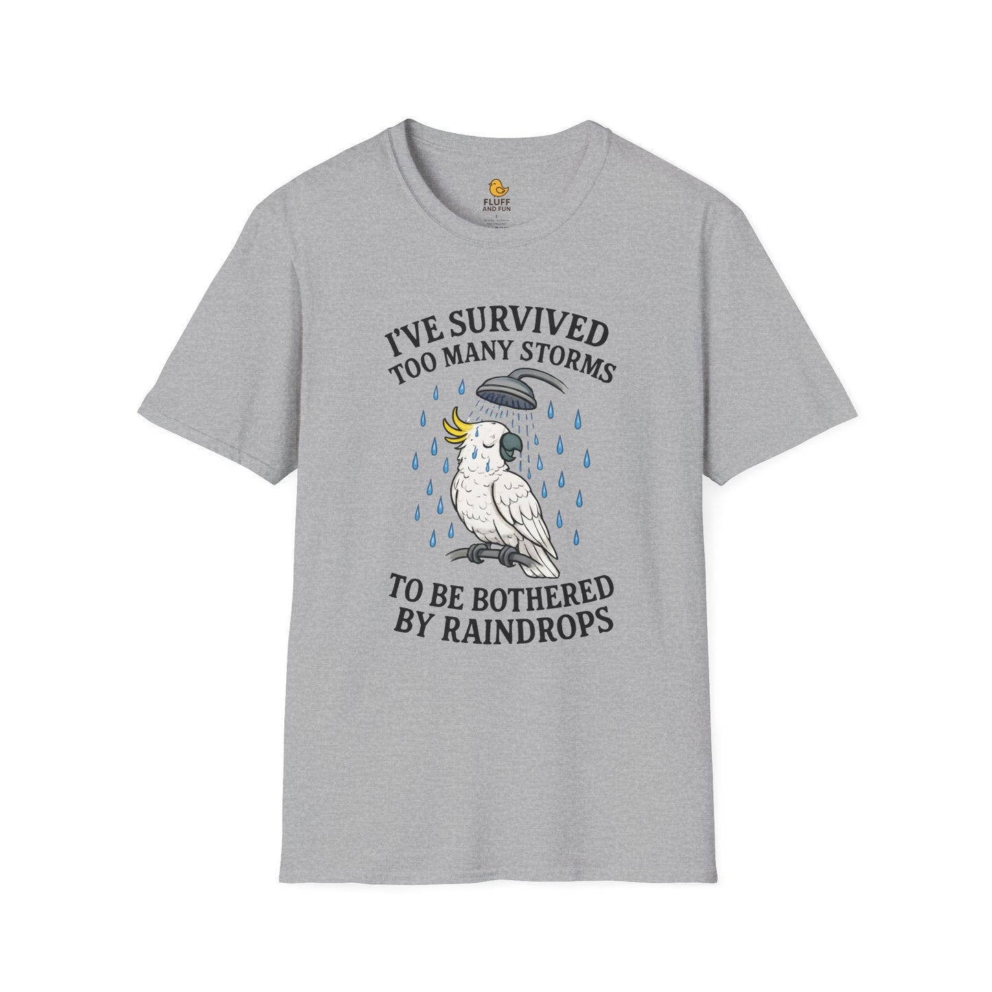 I've Survived Too Many Storms to Be Bothered by Raindrops
