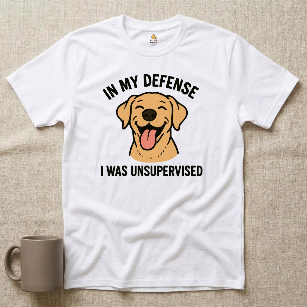 In My Defense...