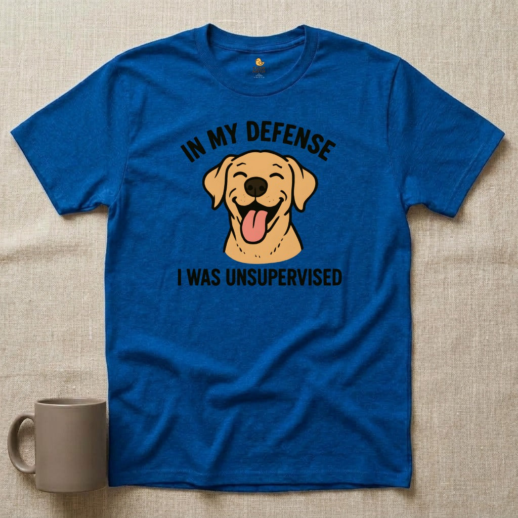 In My Defense...