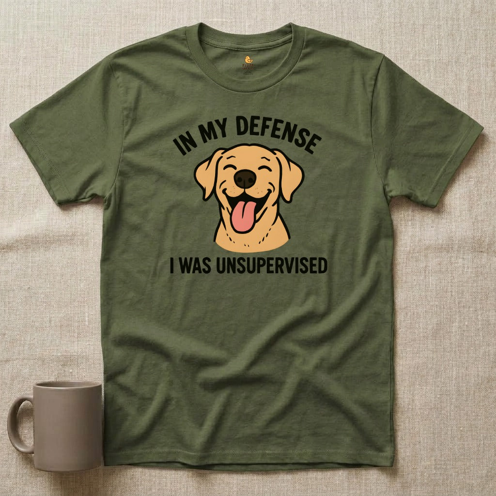 In My Defense...