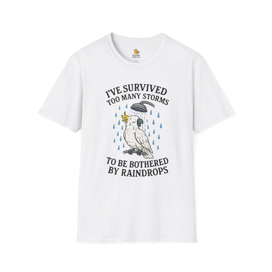 I've Survived Too Many Storms to Be Bothered by Raindrops
